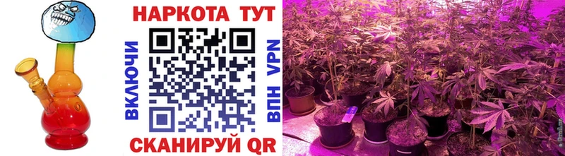 Продажа наркотиков Сызрань Канабис  Галлюциногенные грибы  МЕФ 