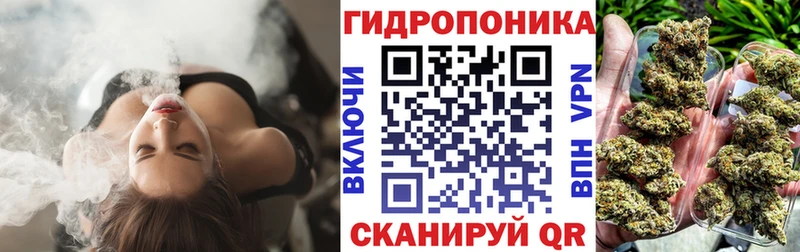mega   Сызрань  Шишки марихуана тримм 